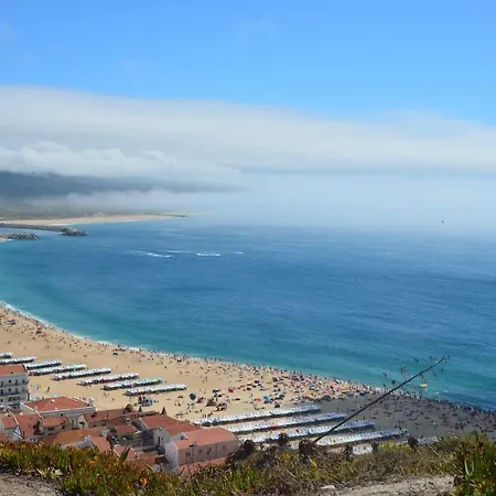 Cavalo-marinho Апартаменты *