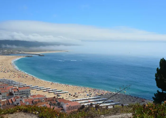 Cavalo-marinho Апартаменты *